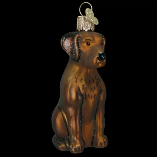 Animal Ornaments^Tannenbaum Holiday Shop Chocolate Labrador