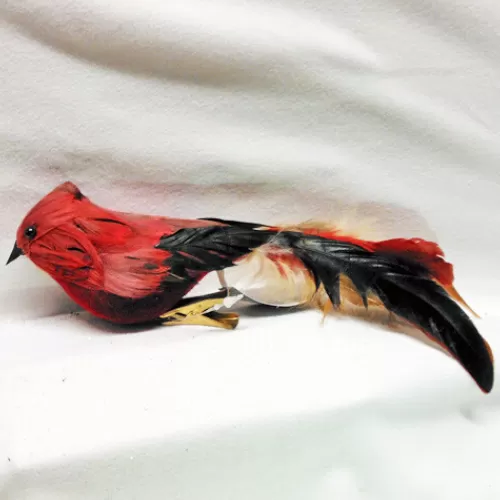 Animal Ornaments^Tannenbaum Holiday Shop Feather Cardinal Clip Ornament