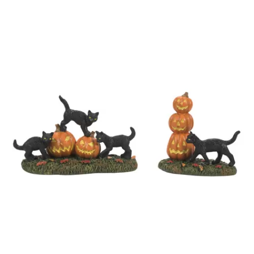 Department 56 - Halloween Village>Tannenbaum Holiday Shop Scary Cats & Pumpkins St/2