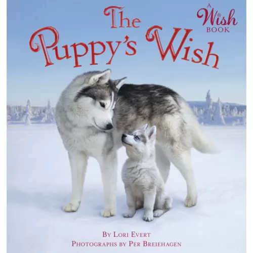 Books^Tannenbaum Holiday Shop The Puppy's Wish Board Book